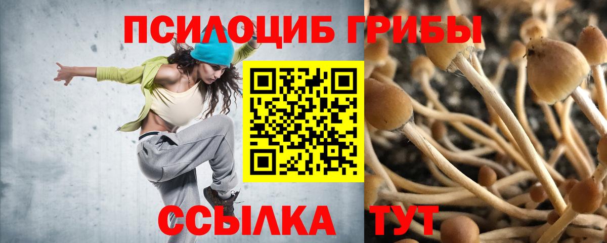 Псилоцибиновые грибы мицелий Белорецк